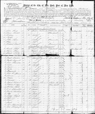 Ellis Island Passenger List, Port of New York, 1892